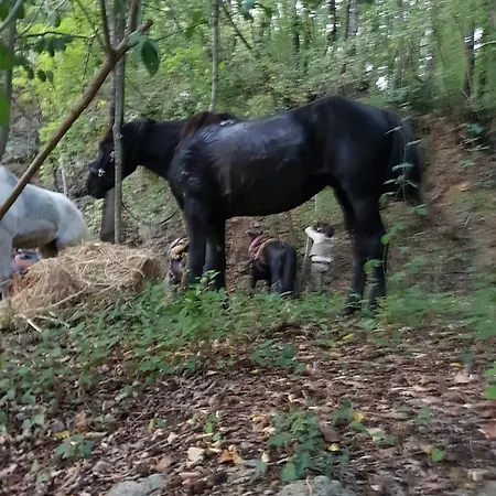 La Miniera